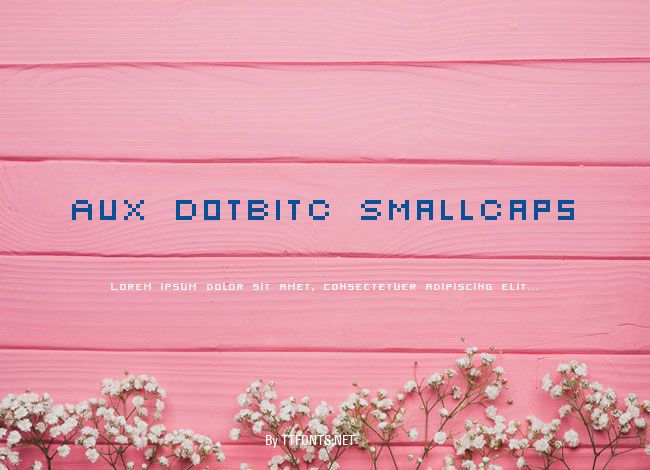 AuX DotBitC SmallCaps example
